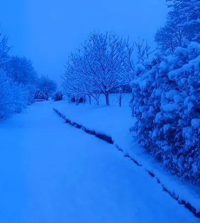 Szymrych * Chelmsko Slaskie