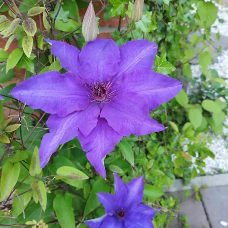 Szymrych Gospodarstwo agroturystyczne