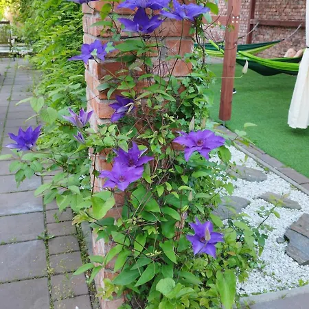 Szymrych Gospodarstwo agroturystyczne