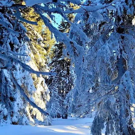 Szymrych Фермерский дом Chelmsko Slaskie