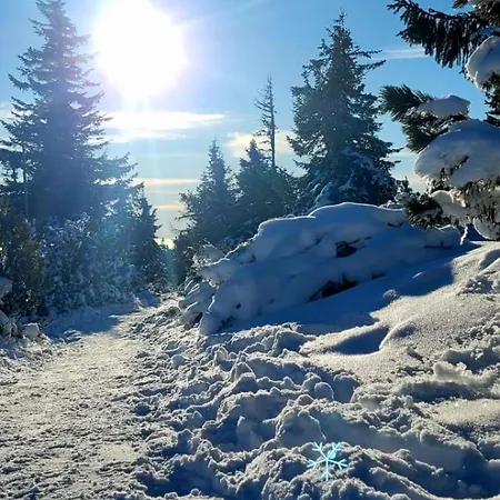Szymrych Chelmsko Slaskie