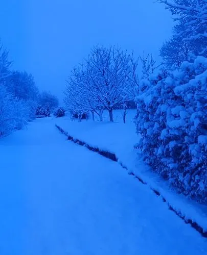 Szymrych * Chelmsko Slaskie