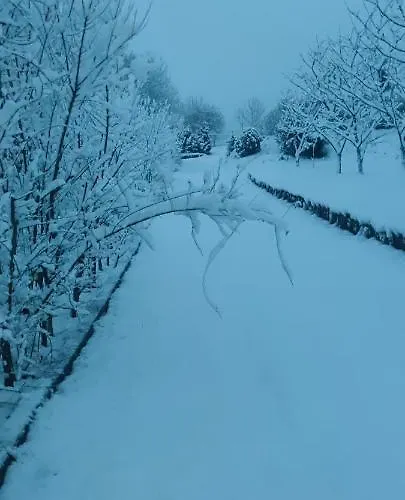 Szymrych * Chelmsko Slaskie